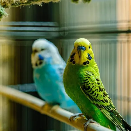 Tandem - Boutique Hotel Strasbourg