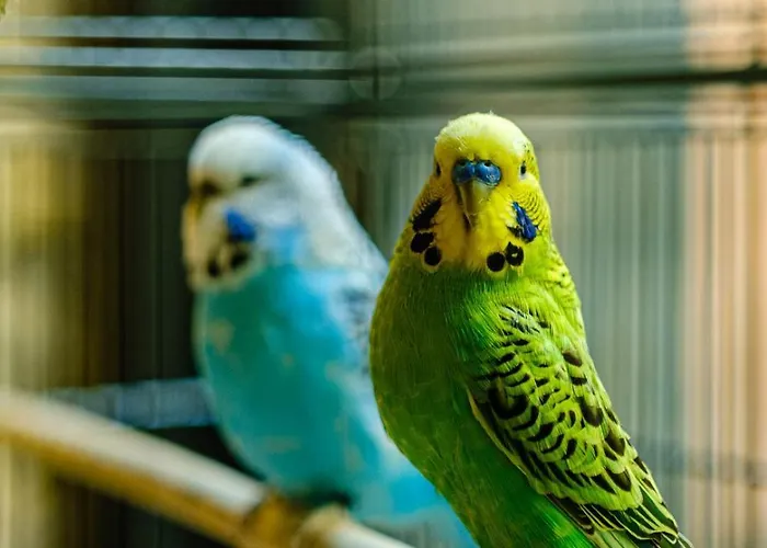 Tandem - Boutique Hotel Strasbourg